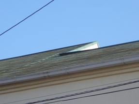 2011_0117.jpg