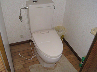 20121113_11.JPG