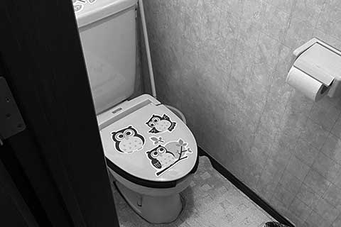 -漏水にお悩みだったトイレを手軽にお洒落なトイレ空間にリフォーム-