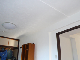 05.jpg