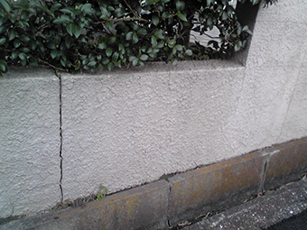 f201302_2_12.JPG