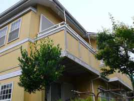06-1.jpg