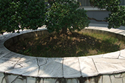 h140903_06.jpg