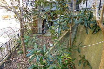 h201305_01.JPG