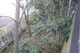 h201305_02.JPG