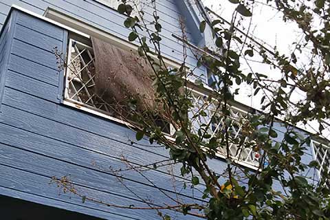 -台風被害からの屋根の復旧-併せて外壁塗装も行い色味にもこだわりました-