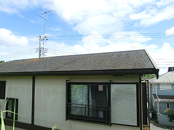 n201301_06.JPG