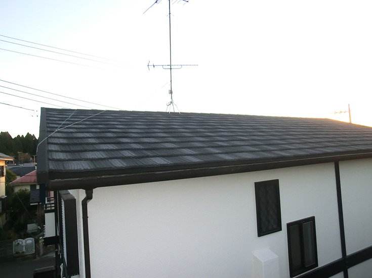 n201301_08.JPG