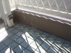 f201302_2_16.JPG