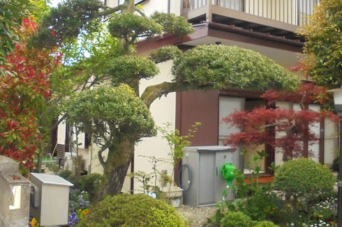 雨漏り修理/外壁リフォームi150403_15.jpg