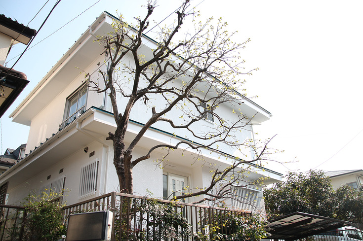 屋根と外壁も綺麗に