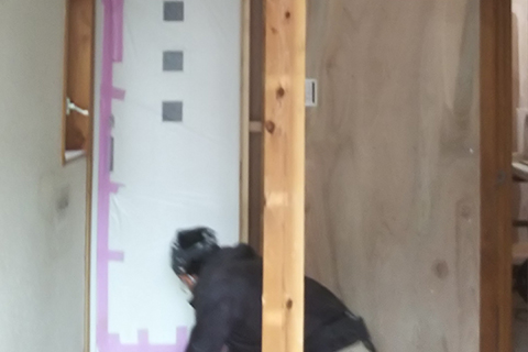 建具仕上げ