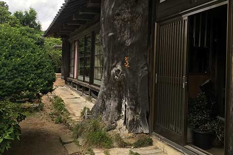 玄関まわり リフォーム前