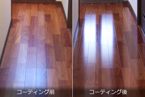 ペットのためにガラスコーティング