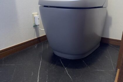 今流行りのノーブルレーベル【サティスG】