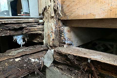 解体後 浴室入口付近の土台や柱が腐食